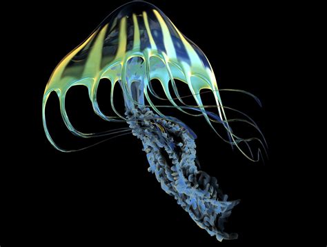  Corymbella Jellies – A Mesmerizing Display of Bioluminescence and Intricate Tentacle Structures!