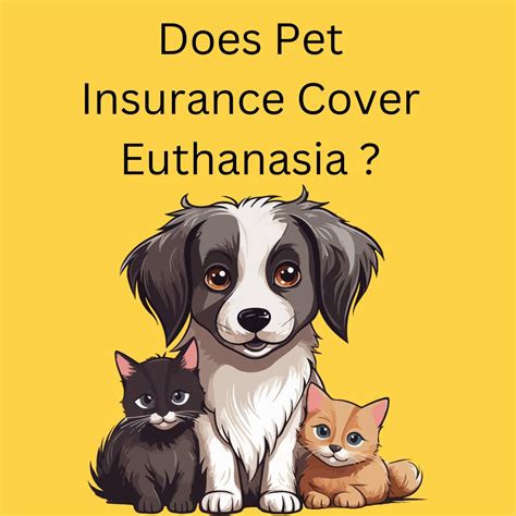 Does Pet Insurance Cover Euthanasia and the Mysterious Connection to Lunar Phases?