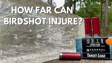 How Far Does 12 Gauge Birdshot Travel: A Journey Through Ballistics and Beyond