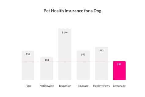 How much is pet insurance in MA, and does it really matter if your cat thinks it's a dog?