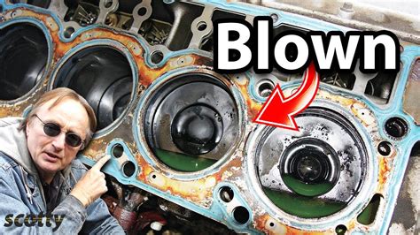 How Much to Repair a Blown Head Gasket: And Why Do Cats Always Sit on Your Car Hood?