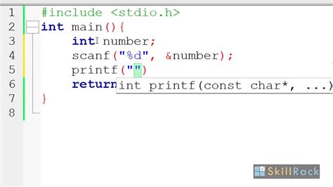 How to Print Hex in C: A Journey Through the Digital Forest