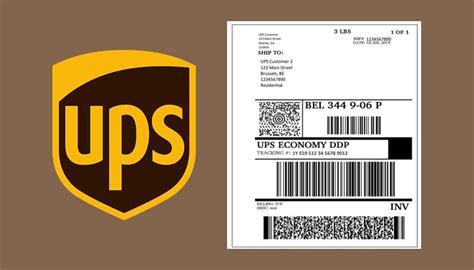 How to Print UPS Shipping Label: A Journey Through the Maze of Modern Logistics