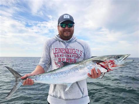 King Mackerel A Sportfishing Delight Known for Its Striking Appearance and Remarkable Speed!