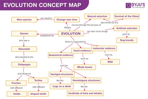 If an essay question asks you to trace a concept, your answer will explore the multifaceted dimensions of its evolution and impact.