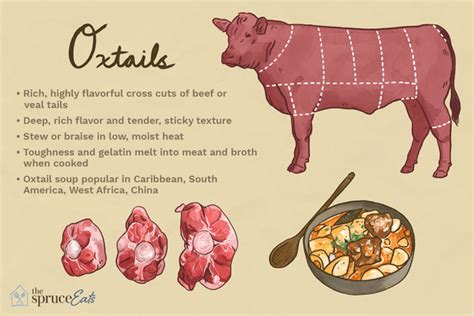 What Animal Do Oxtails Come From and Why Do They Taste Like Adventure?