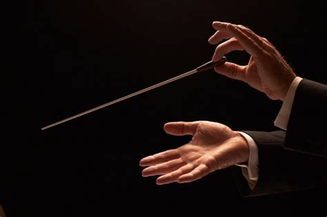 What Does a Musical Director Do? And Why Do They Always Have a Baton in Their Hand?