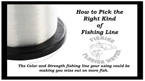 What Fishing Line to Use for Bass: And Why It Might Just Depend on the Moon Phase