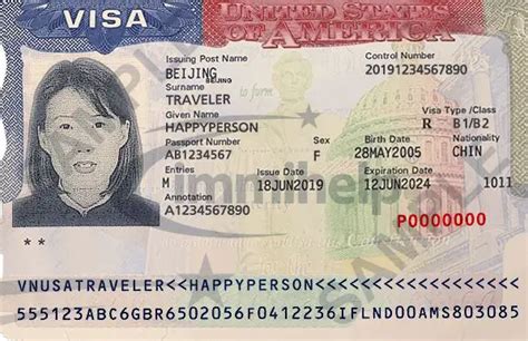 What is Travel Document Number on Visa and How Does It Shape Our Understanding of Global Mobility?